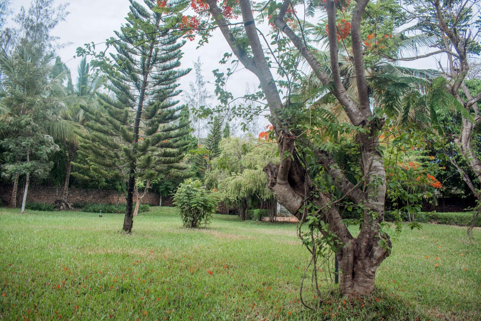 Kijani Cottages In Diani Diani Beach Εξωτερικό φωτογραφία