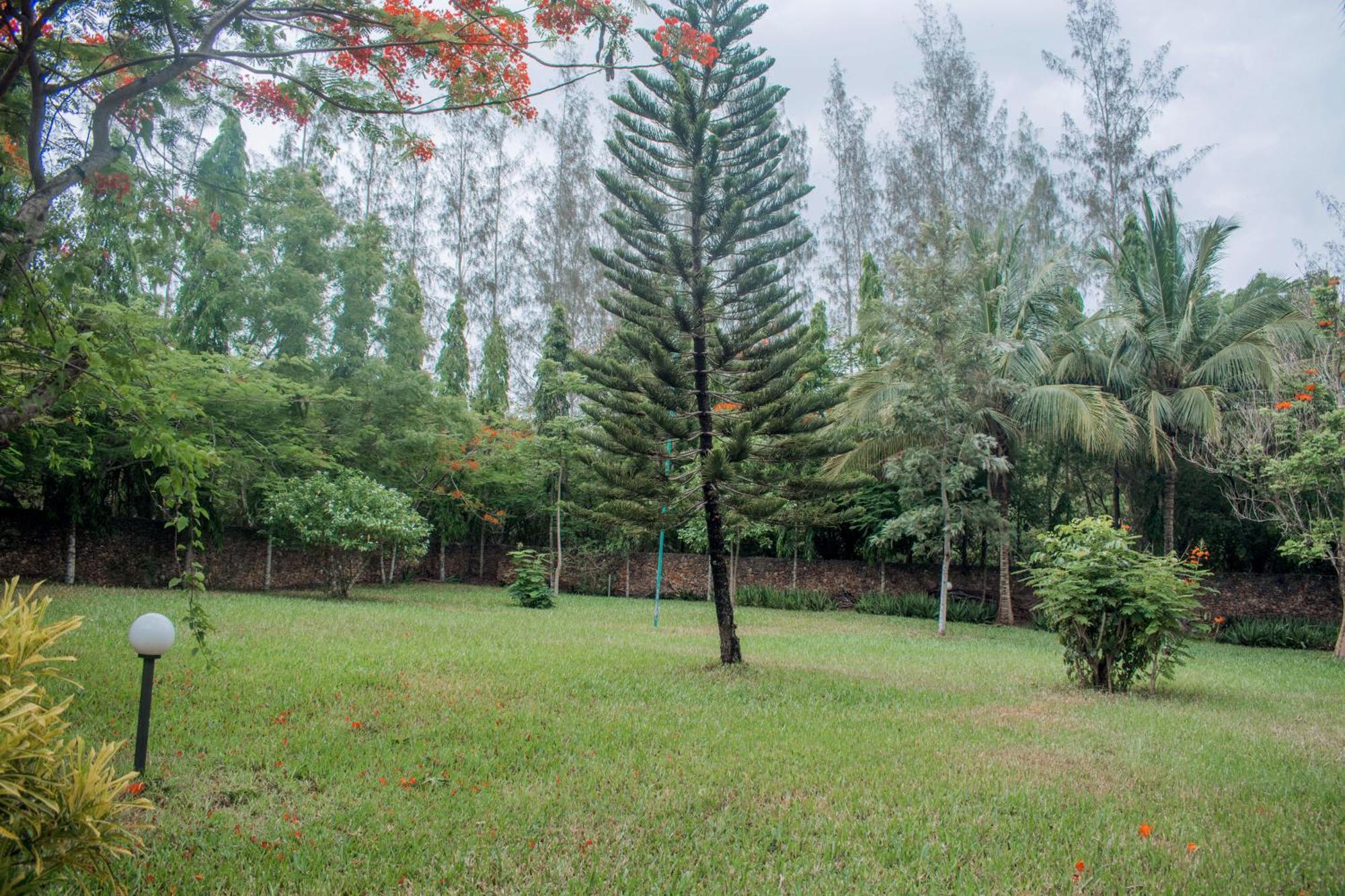 Kijani Cottages In Diani Diani Beach Εξωτερικό φωτογραφία